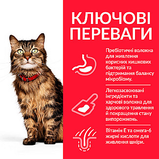 Hill's Science Plan Adult Sensitive Stomach&Skin Сухий корм для котів із чутливим травленням та шкірою, з куркою, 7 кг