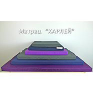 Лежак-матрас  xарлей Фиолетовый, 40x50x5