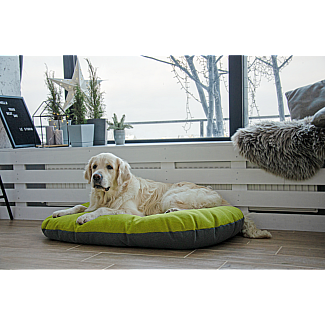 Лежак-Подушка Lucky Pet Морфей салатовый №2, 50х70 см