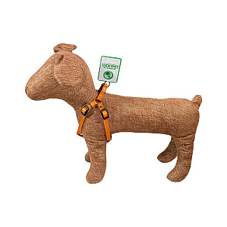 Нагрудник кожаный двойной Lucky Pet 2.0/40-53 см, оранжевый