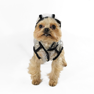 Вітровка Lucky Pet Дощик Прозора XS №0, 21 х 32 см