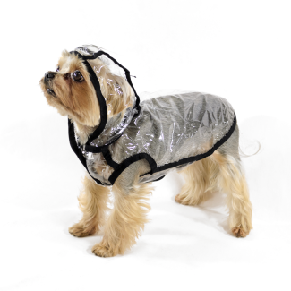 Вітровка Lucky Pet Дощик Прозора XS №0, 21 х 32 см