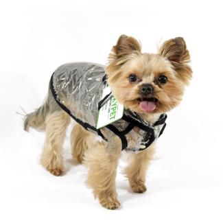 Вітровка Lucky Pet Дощик Прозора XS №0, 21 х 32 см