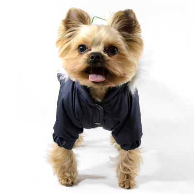Lucky Pet Костюм Соло синій M №0
