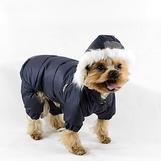 Lucky Pet Костюм Соло для породи Той тер'єр синій №1, 25 х 28 см