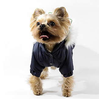 Lucky Pet Костюм Соло для породи Той тер'єр синій №1, 25 х 28 см