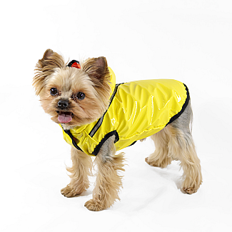 Жилет Lucky Pet Бінго жовтий Міні XS, 21 х 32 см