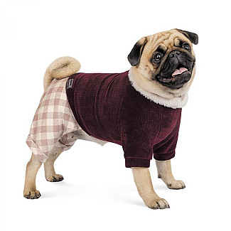 Костюм для собак Pet Fashion SPELL, М (33-36 см)
