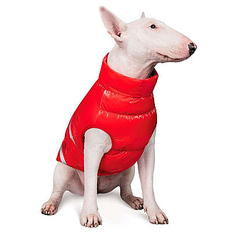 Жилет зі світловідбивачами для собак Pet Fashion BIG BOSS, 5XL (54-57 см)