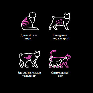 Сухий корм для кошенят REX Natural Range Kitten Chicken & Rice зі свіжою куркою та рисом, 1 кг