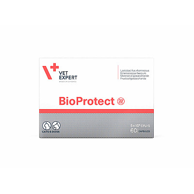VetExpert BioProtect (ВетЭксперт БиоПротект) при нарушении со сторон ЖКТ