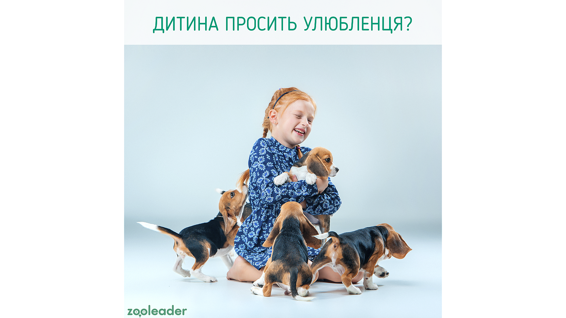 Что делать, если ребенок просит домашнего питомца?