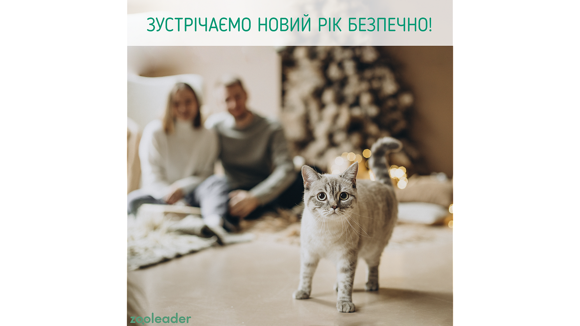 Новий рік без клопоту!