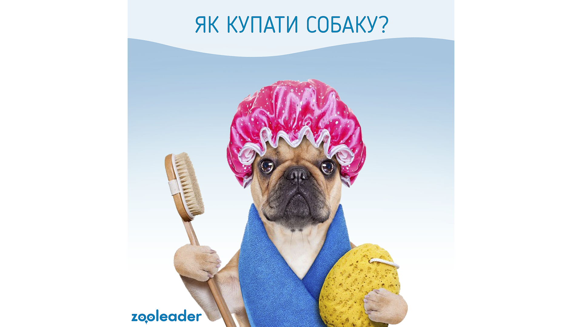 Купаем собаку