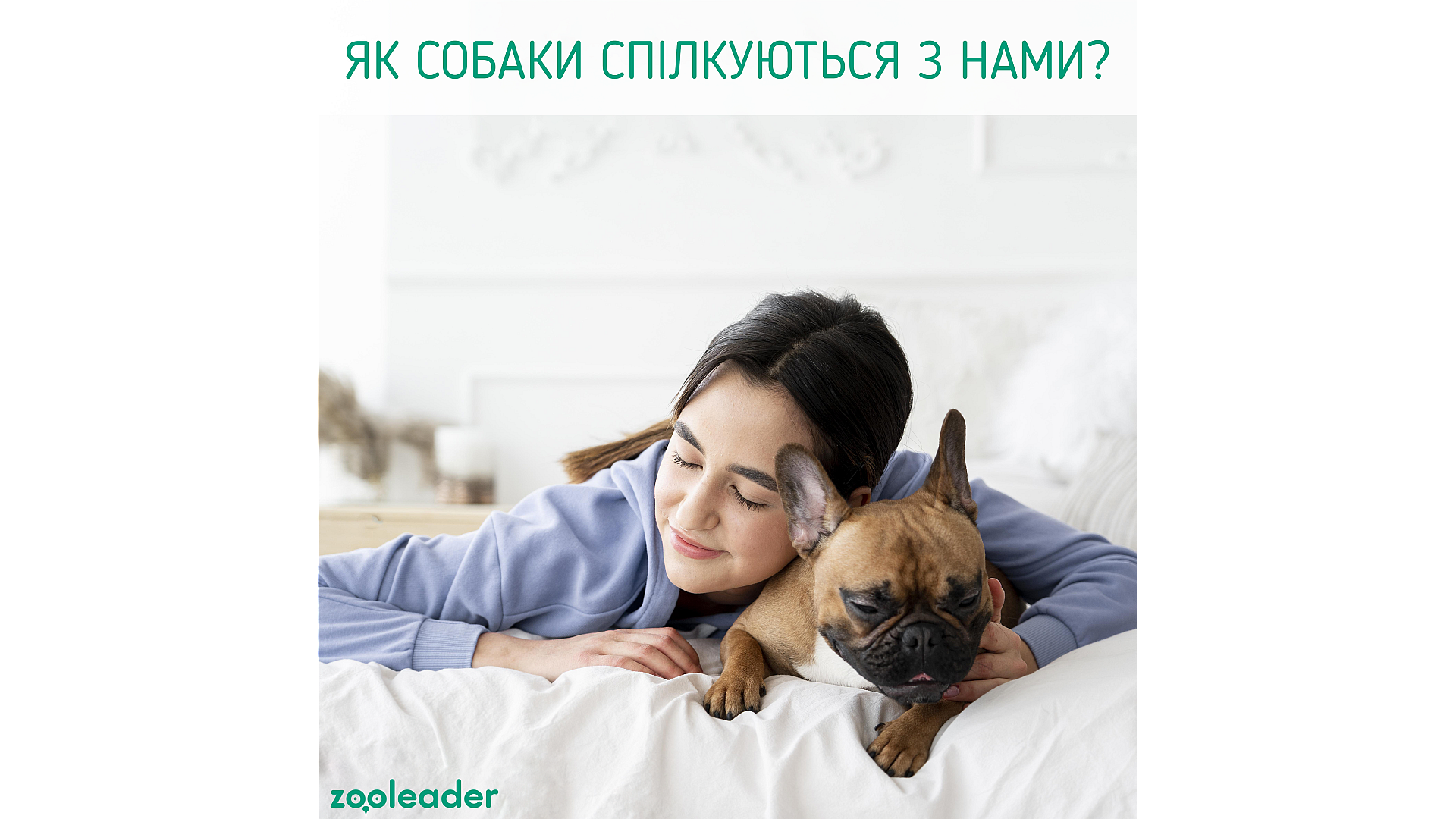 Как собаки общаются с нами?