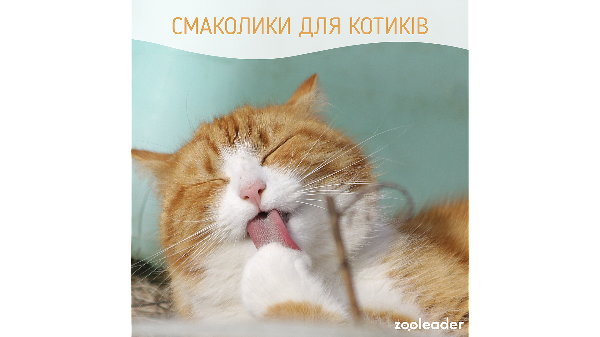 Лакомство для котиков