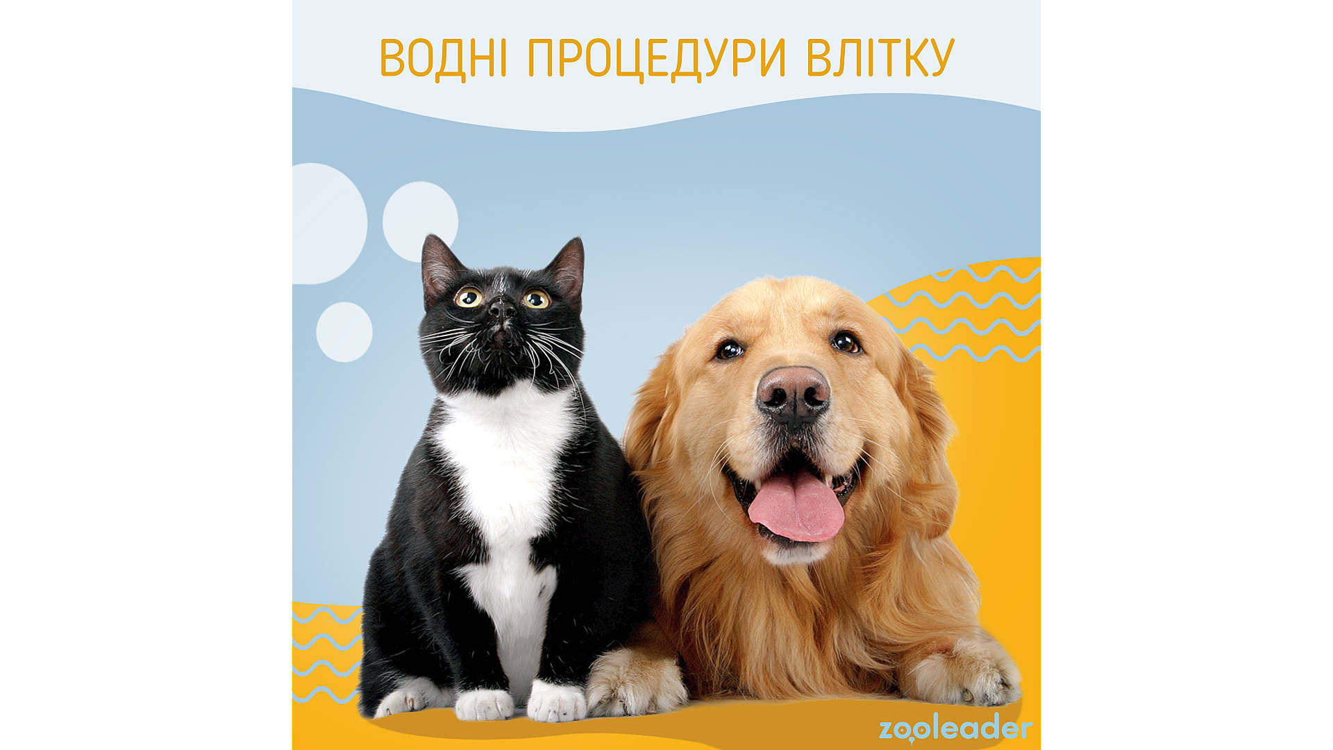 Водные процедуры летом