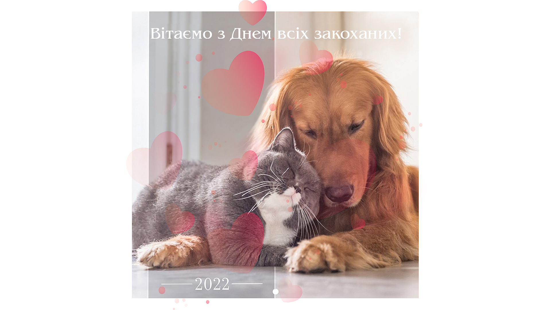 Поздравляем с праздником всех влюбленных!