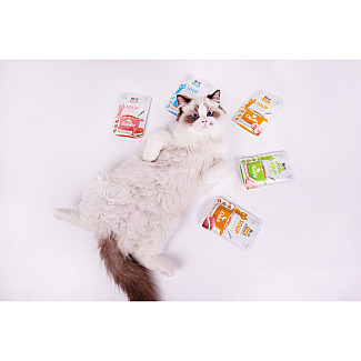 Корм влажный Суп для кошек Brit Care Soup with Chicken 75 г, с курицей