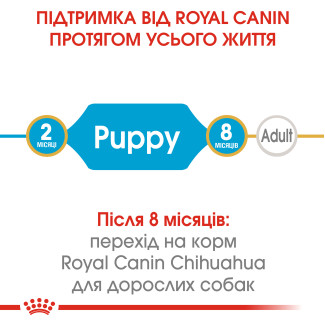 Royal Canin Chihuahua Puppy (Роял Канин Чихуахуа Паппи) сухой корм для щенков породы чихуахуа до  8 месяцев, 500 г
