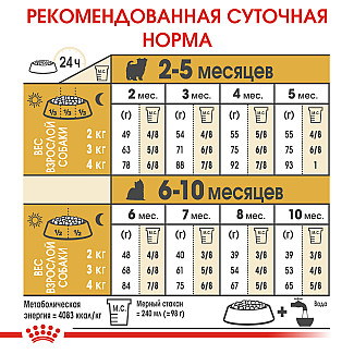 Royal Canin Yorkshire Puppy сухой корм для щенков породы йорширский терьер до 10 месяцев, 0.5 кг