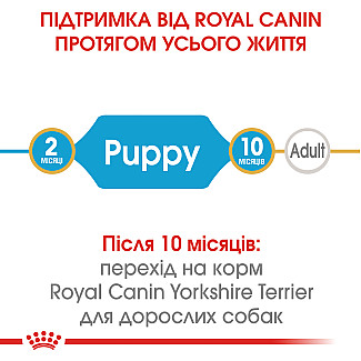 Royal Canin Yorkshire Puppy сухой корм для щенков породы йорширский терьер до 10 месяцев, 0.5 кг