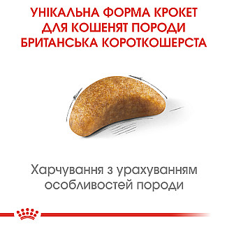 Royal Canin BRITISH SHOTHAIR KITTEN сухой корм для котят породы Британская короткошерстная, 400 гр