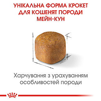 Royal Canin MAINE COON KITTEN  сухой корм для котят породы мэйн кун, 400 гр
