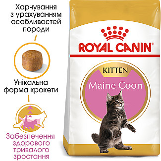 Royal Canin MAINE COON KITTEN  сухой корм для котят породы мэйн кун, 400 гр