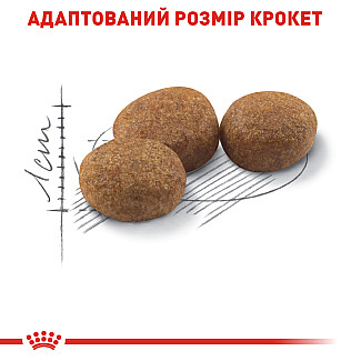 Royal Canin Sterilised Сухий корм для стерилізованих кішок, 4 кг