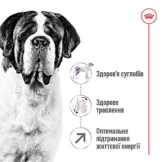 Сухий корм для собак гігантських порід Royal Canin Giant Adult , 15 кг