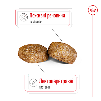 Сухий корм для собак гігантських порід Royal Canin Giant Adult , 15 кг