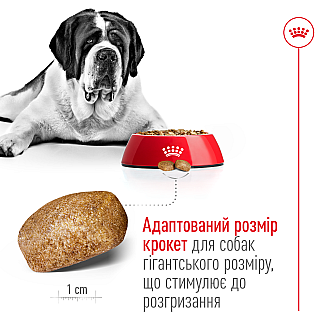 Сухий корм для собак гігантських порід Royal Canin Giant Adult , 15 кг