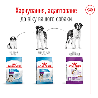 Сухий корм для собак гігантських порід Royal Canin Giant Adult , 15 кг
