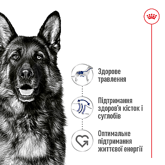 Сухий корм для собак великих порід Royal Canin Maxi Adult, 4 кг