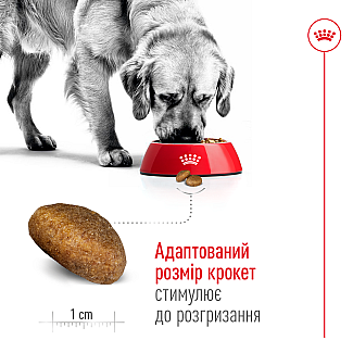 Сухий корм для собак великих порід Royal Canin Maxi Adult, 4 кг