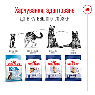 Сухий корм для собак великих порід Royal Canin Maxi Adult, 4 кг