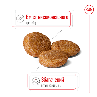 Сухой корм для собак средних пород Royal Canin Medium, 4 кг