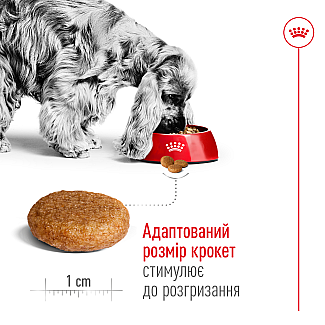 Сухой корм для собак средних пород Royal Canin Medium, 4 кг