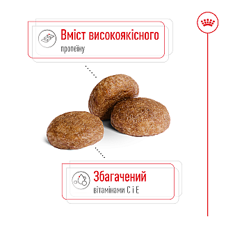 Сухий корм для собак середніх порід старше 7 років Royal Canin Medium Adult 7+, 4 кг