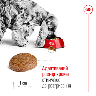 Сухий корм для собак середніх порід старше 7 років Royal Canin Medium Adult 7+, 4 кг