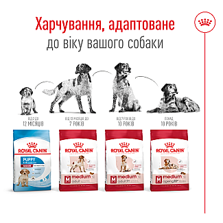 Сухий корм для собак середніх порід старше 7 років Royal Canin Medium Adult 7+, 4 кг