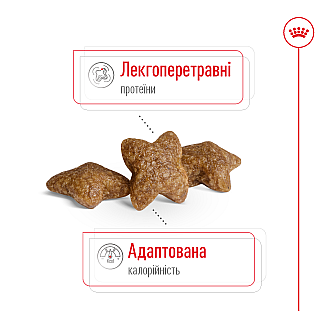 Сухой корм для собак малых пород Royal Canin Mini Adult, 8 кг