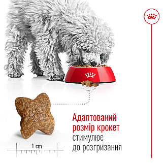 Сухой корм для собак малых пород Royal Canin Mini Adult, 8 кг