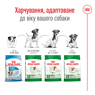 Сухой корм для собак малых пород Royal Canin Mini Adult, 8 кг