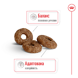 Сухий корм для собак малих порід старше 12 років Royal Canin Mini Ageing 12+, 800 г