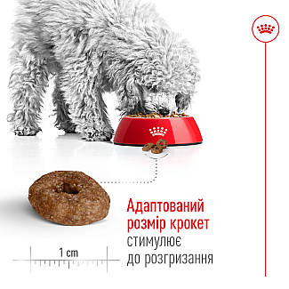 Сухий корм для собак малих порід старше 12 років Royal Canin Mini Ageing 12+, 800 г