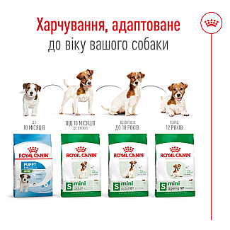 Сухой корм для стареющих собак малых пород Royal Canin Mini Adult 8+ , 800 г