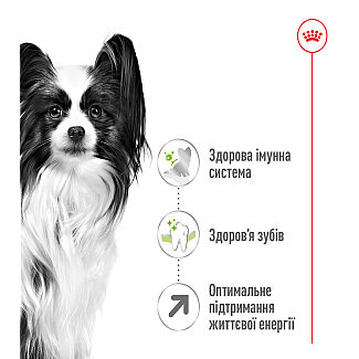 Сухий корм для собак Royal Canin X-Small Adult для мініатюрних порід, 1.5 кг