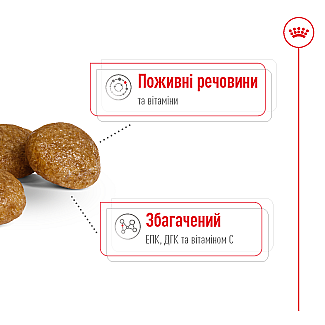 Сухий корм для собак Royal Canin X-Small Adult для мініатюрних порід, 1.5 кг
